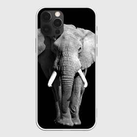 Чехол для iPhone 12 Pro Max с принтом Слон в Курске, Силикон |  | africa | big | black   white | elephant is an animal | shroud | tusks | африка | бивни | большой | животное | идет | савана | слон | черно   белый