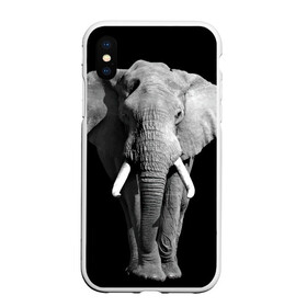 Чехол для iPhone XS Max матовый с принтом Слон в Курске, Силикон | Область печати: задняя сторона чехла, без боковых панелей | africa | big | black   white | elephant is an animal | shroud | tusks | африка | бивни | большой | животное | идет | савана | слон | черно   белый