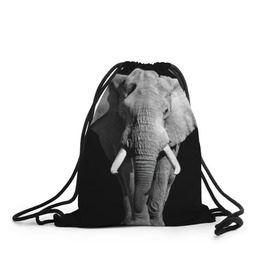 Рюкзак-мешок 3D с принтом Слон в Курске, 100% полиэстер | плотность ткани — 200 г/м2, размер — 35 х 45 см; лямки — толстые шнурки, застежка на шнуровке, без карманов и подкладки | africa | big | black   white | elephant is an animal | shroud | tusks | африка | бивни | большой | животное | идет | савана | слон | черно   белый