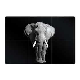 Магнитный плакат 3Х2 с принтом Слон в Курске, Полимерный материал с магнитным слоем | 6 деталей размером 9*9 см | africa | big | black   white | elephant is an animal | shroud | tusks | африка | бивни | большой | животное | идет | савана | слон | черно   белый
