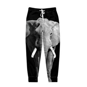 Мужские брюки 3D с принтом Слон в Курске, 100% полиэстер | манжеты по низу, эластичный пояс регулируется шнурком, по бокам два кармана без застежек, внутренняя часть кармана из мелкой сетки | africa | big | black   white | elephant is an animal | shroud | tusks | африка | бивни | большой | животное | идет | савана | слон | черно   белый