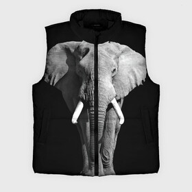 Мужской жилет утепленный 3D с принтом Слон в Курске,  |  | africa | big | black   white | elephant is an animal | shroud | tusks | африка | бивни | большой | животное | идет | савана | слон | черно   белый