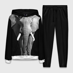 Женский костюм 3D (с толстовкой) с принтом Слон в Курске,  |  | africa | big | black   white | elephant is an animal | shroud | tusks | африка | бивни | большой | животное | идет | савана | слон | черно   белый