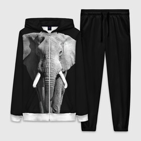 Женский костюм 3D с принтом Слон в Курске,  |  | africa | big | black   white | elephant is an animal | shroud | tusks | африка | бивни | большой | животное | идет | савана | слон | черно   белый