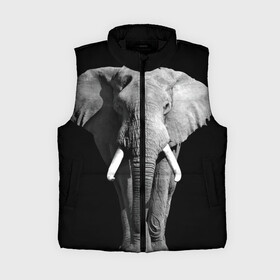Женский жилет утепленный 3D с принтом Слон в Курске,  |  | africa | big | black   white | elephant is an animal | shroud | tusks | африка | бивни | большой | животное | идет | савана | слон | черно   белый