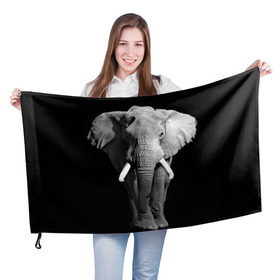 Флаг 3D с принтом Слон в Курске, 100% полиэстер | плотность ткани — 95 г/м2, размер — 67 х 109 см. Принт наносится с одной стороны | africa | big | black   white | elephant is an animal | shroud | tusks | африка | бивни | большой | животное | идет | савана | слон | черно   белый