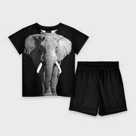 Детский костюм с шортами 3D с принтом Слон в Курске,  |  | Тематика изображения на принте: africa | big | black   white | elephant is an animal | shroud | tusks | африка | бивни | большой | животное | идет | савана | слон | черно   белый