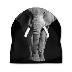 Шапка 3D с принтом Слон в Курске, 100% полиэстер | универсальный размер, печать по всей поверхности изделия | africa | big | black   white | elephant is an animal | shroud | tusks | африка | бивни | большой | животное | идет | савана | слон | черно   белый