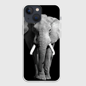Чехол для iPhone 13 mini с принтом Слон в Курске,  |  | africa | big | black   white | elephant is an animal | shroud | tusks | африка | бивни | большой | животное | идет | савана | слон | черно   белый