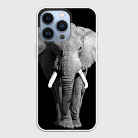 Чехол для iPhone 13 Pro с принтом Слон в Курске,  |  | africa | big | black   white | elephant is an animal | shroud | tusks | африка | бивни | большой | животное | идет | савана | слон | черно   белый