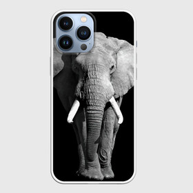 Чехол для iPhone 13 Pro Max с принтом Слон в Курске,  |  | africa | big | black   white | elephant is an animal | shroud | tusks | африка | бивни | большой | животное | идет | савана | слон | черно   белый