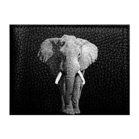 Обложка для студенческого билета с принтом Слон в Курске, натуральная кожа | Размер: 11*8 см; Печать на всей внешней стороне | africa | big | black   white | elephant is an animal | shroud | tusks | африка | бивни | большой | животное | идет | савана | слон | черно   белый