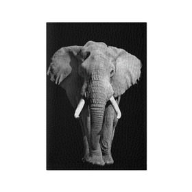 Обложка для паспорта матовая кожа с принтом Слон в Курске, натуральная матовая кожа | размер 19,3 х 13,7 см; прозрачные пластиковые крепления | africa | big | black   white | elephant is an animal | shroud | tusks | африка | бивни | большой | животное | идет | савана | слон | черно   белый