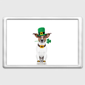 Магнит 45*70 с принтом Ирландия в Курске, Пластик | Размер: 78*52 мм; Размер печати: 70*45 | animal | breed | clover | dog | folk | fun | funny | hat | hero | ireland | irish | saint patrick | герой | животное | ирландия | ирландский | клевер | народный | порода | прикол | святой патрик | собака | шляпа | шутка