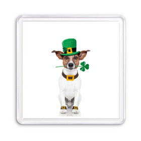 Магнит 55*55 с принтом Ирландия в Курске, Пластик | Размер: 65*65 мм; Размер печати: 55*55 мм | Тематика изображения на принте: animal | breed | clover | dog | folk | fun | funny | hat | hero | ireland | irish | saint patrick | герой | животное | ирландия | ирландский | клевер | народный | порода | прикол | святой патрик | собака | шляпа | шутка