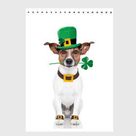 Скетчбук с принтом Ирландия в Курске, 100% бумага
 | 48 листов, плотность листов — 100 г/м2, плотность картонной обложки — 250 г/м2. Листы скреплены сверху удобной пружинной спиралью | Тематика изображения на принте: animal | breed | clover | dog | folk | fun | funny | hat | hero | ireland | irish | saint patrick | герой | животное | ирландия | ирландский | клевер | народный | порода | прикол | святой патрик | собака | шляпа | шутка