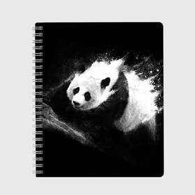 Тетрадь с принтом Молочная панда в Курске, 100% бумага | 48 листов, плотность листов — 60 г/м2, плотность картонной обложки — 250 г/м2. Листы скреплены сбоку удобной пружинной спиралью. Уголки страниц и обложки скругленные. Цвет линий — светло-серый
 | animal | bear | beast | milk | nature | panda | животное | зверь | медведь | молоко | панда | природа