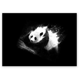 Поздравительная открытка с принтом Молочная панда в Курске, 100% бумага | плотность бумаги 280 г/м2, матовая, на обратной стороне линовка и место для марки
 | animal | bear | beast | milk | nature | panda | животное | зверь | медведь | молоко | панда | природа