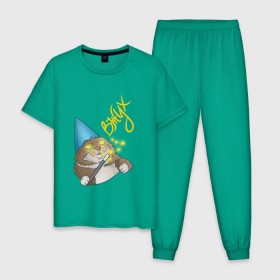 Мужская пижама хлопок с принтом ВЖУХ в Курске, 100% хлопок | брюки и футболка прямого кроя, без карманов, на брюках мягкая резинка на поясе и по низу штанин
 | Тематика изображения на принте: вжух | волшебник | кот | мем