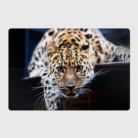 Магнитный плакат 3Х2 с принтом Леопард в Курске, Полимерный материал с магнитным слоем | 6 деталей размером 9*9 см | взгляд | глаза | дикая кошка | леопард | хищник
