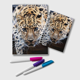 Блокнот с принтом Леопард в Курске, 100% бумага | 48 листов, плотность листов — 60 г/м2, плотность картонной обложки — 250 г/м2. Листы скреплены удобной пружинной спиралью. Цвет линий — светло-серый
 | Тематика изображения на принте: взгляд | глаза | дикая кошка | леопард | хищник