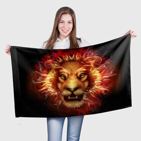 Флаг 3D с принтом Огненный лев в Курске, 100% полиэстер | плотность ткани — 95 г/м2, размер — 67 х 109 см. Принт наносится с одной стороны | animal | fire | flame | head | lion | look | predator | взгляд | голова | животное | лев | огненный | огонь | пламя | хищник