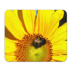 Коврик прямоугольный с принтом пчела на подсолнухе в Курске, натуральный каучук | размер 230 х 185 мм; запечатка лицевой стороны | лето | насекомое | подсолнух | пчела