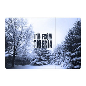 Магнитный плакат 3Х2 с принтом Я из Сибири в Курске, Полимерный материал с магнитным слоем | 6 деталей размером 9*9 см | Тематика изображения на принте: siberia | зима | россия | сибирь | снег | холод