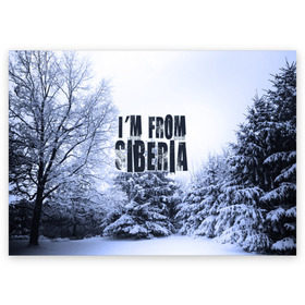 Поздравительная открытка с принтом Я из Сибири в Курске, 100% бумага | плотность бумаги 280 г/м2, матовая, на обратной стороне линовка и место для марки
 | Тематика изображения на принте: siberia | зима | россия | сибирь | снег | холод