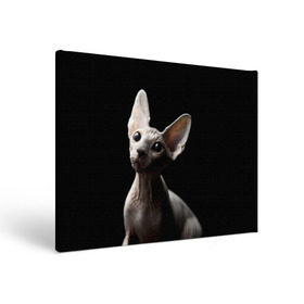 Холст прямоугольный с принтом Сфинкс в Курске, 100% ПВХ |  | Тематика изображения на принте: black | cat | взгляд | кот | котик | котэ | кошка | сфинкс | уши | черный