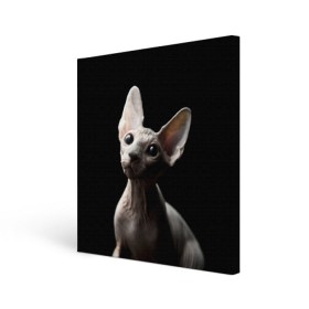 Холст квадратный с принтом Сфинкс в Курске, 100% ПВХ |  | Тематика изображения на принте: black | cat | взгляд | кот | котик | котэ | кошка | сфинкс | уши | черный