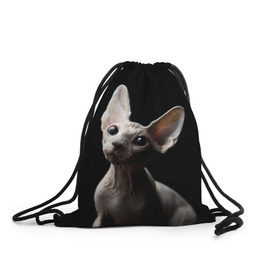 Рюкзак-мешок 3D с принтом Сфинкс в Курске, 100% полиэстер | плотность ткани — 200 г/м2, размер — 35 х 45 см; лямки — толстые шнурки, застежка на шнуровке, без карманов и подкладки | black | cat | взгляд | кот | котик | котэ | кошка | сфинкс | уши | черный