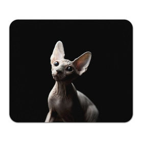 Коврик прямоугольный с принтом Сфинкс в Курске, натуральный каучук | размер 230 х 185 мм; запечатка лицевой стороны | black | cat | взгляд | кот | котик | котэ | кошка | сфинкс | уши | черный