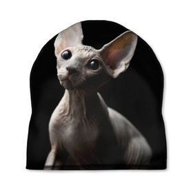 Шапка 3D с принтом Сфинкс в Курске, 100% полиэстер | универсальный размер, печать по всей поверхности изделия | black | cat | взгляд | кот | котик | котэ | кошка | сфинкс | уши | черный
