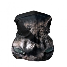 Бандана-труба 3D с принтом Котик в Курске, 100% полиэстер, ткань с особыми свойствами — Activecool | плотность 150‒180 г/м2; хорошо тянется, но сохраняет форму | животные | кот | котенок | котик | кошка
