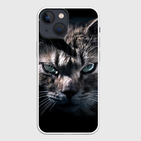 Чехол для iPhone 13 mini с принтом Котик в Курске,  |  | животные | кот | котенок | котик | кошка