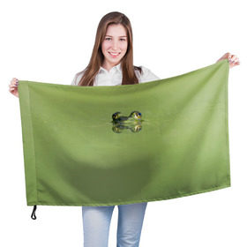Флаг 3D с принтом Лягушка в Курске, 100% полиэстер | плотность ткани — 95 г/м2, размер — 67 х 109 см. Принт наносится с одной стороны | болото | жаба | животные | лягушка