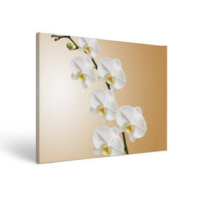 Холст прямоугольный с принтом Orhid в Курске, 100% ПВХ |  | Тематика изображения на принте: девушки | красота | орхидея | прелесть | цветы