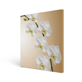 Холст квадратный с принтом Orhid в Курске, 100% ПВХ |  | Тематика изображения на принте: девушки | красота | орхидея | прелесть | цветы