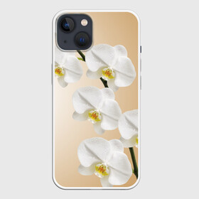 Чехол для iPhone 13 с принтом Orhid в Курске,  |  | Тематика изображения на принте: девушки | красота | орхидея | прелесть | цветы