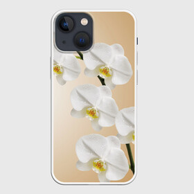Чехол для iPhone 13 mini с принтом Orhid в Курске,  |  | Тематика изображения на принте: девушки | красота | орхидея | прелесть | цветы