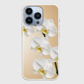 Чехол для iPhone 13 Pro с принтом Orhid в Курске,  |  | Тематика изображения на принте: девушки | красота | орхидея | прелесть | цветы