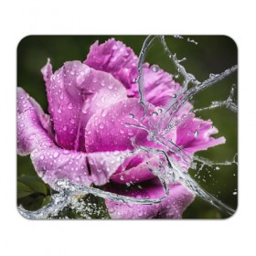 Коврик прямоугольный с принтом Душа цветов в Курске, натуральный каучук | размер 230 х 185 мм; запечатка лицевой стороны | Тематика изображения на принте: бабочка | букет | вода | девушки | душа | красота | прелесть | роза | розы | цветы