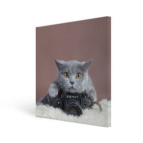 Холст квадратный с принтом Котик фотограф в Курске, 100% ПВХ |  | кот | котик | кошка | объектив | фотоаппарат | фотограф