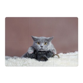 Магнитный плакат 3Х2 с принтом Котик фотограф в Курске, Полимерный материал с магнитным слоем | 6 деталей размером 9*9 см | кот | котик | кошка | объектив | фотоаппарат | фотограф