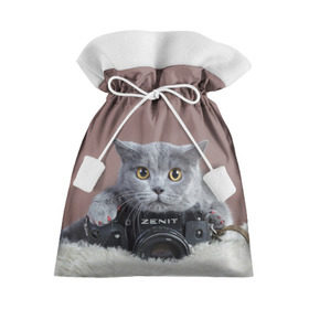 Подарочный 3D мешок с принтом Котик фотограф в Курске, 100% полиэстер | Размер: 29*39 см | Тематика изображения на принте: кот | котик | кошка | объектив | фотоаппарат | фотограф