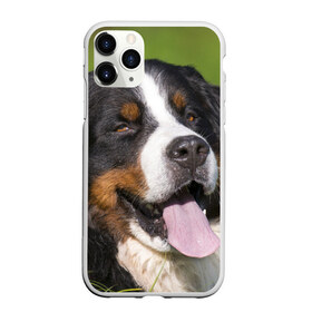 Чехол для iPhone 11 Pro матовый с принтом Бернский зенненхунд в Курске, Силикон |  | волкодав | дворняжка | домашние животные | любимец | мопс | овчарка | пес | песик | питомец | сенбернар | собака | собачка