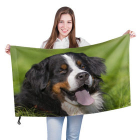 Флаг 3D с принтом Бернский зенненхунд в Курске, 100% полиэстер | плотность ткани — 95 г/м2, размер — 67 х 109 см. Принт наносится с одной стороны | волкодав | дворняжка | домашние животные | любимец | мопс | овчарка | пес | песик | питомец | сенбернар | собака | собачка