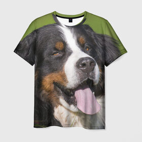 Мужская футболка 3D с принтом Бернский зенненхунд в Курске, 100% полиэфир | прямой крой, круглый вырез горловины, длина до линии бедер | волкодав | дворняжка | домашние животные | любимец | мопс | овчарка | пес | песик | питомец | сенбернар | собака | собачка