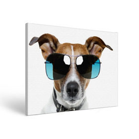 Холст прямоугольный с принтом Джек Рассел в очках в Курске, 100% ПВХ |  | волкодав | дворняжка | джек | джек рассел | домашние животные | любимец | мопс | овчарка | пес | песик | питомец | рассел | сенбернар | собака | собачка